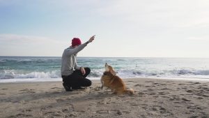 Health benefits of being a dog owner